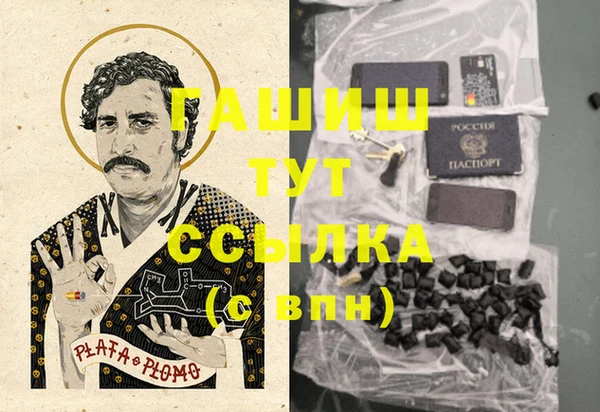 тгк Алексин