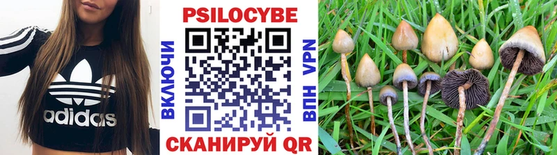 Псилоцибиновые грибы мицелий  Керчь 